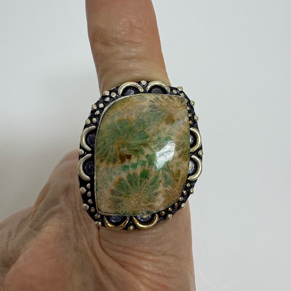 Artisan Silver Fossilized Jasper Woman’s Ring